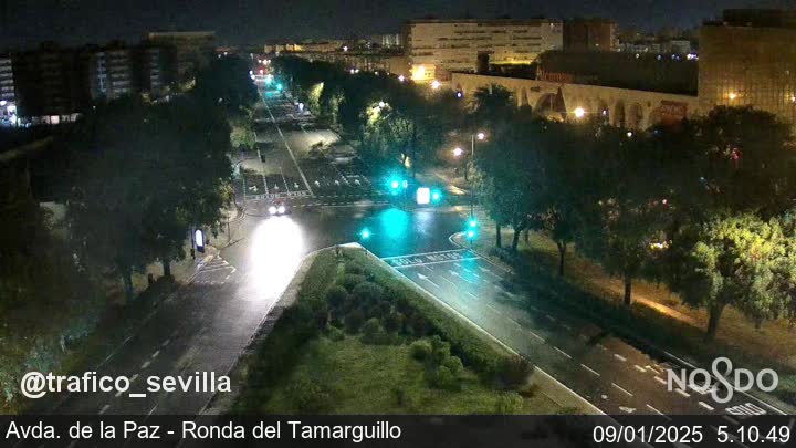 Calle Avda. de la Paz - Ronda el Tamarguillo