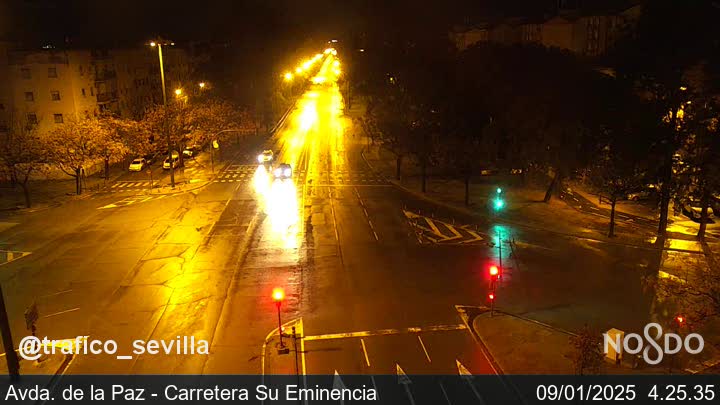 Cámara Webcam SE-00  Calle Avda de la paz - Carretera su Eminencia