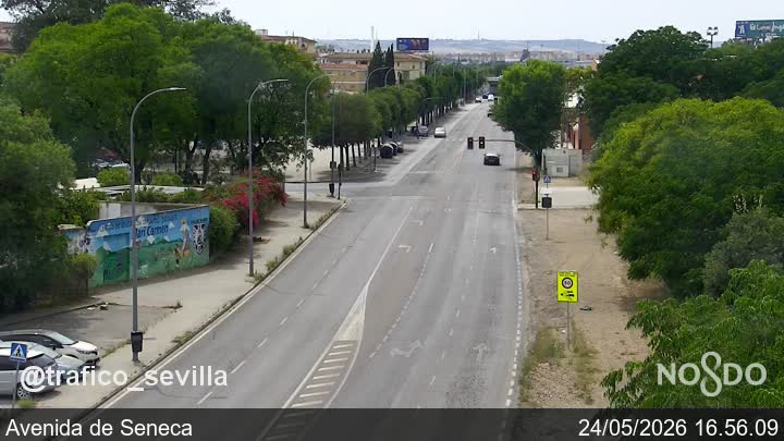 Cámara Webcam SE-00  Calle Avenidade Seneca