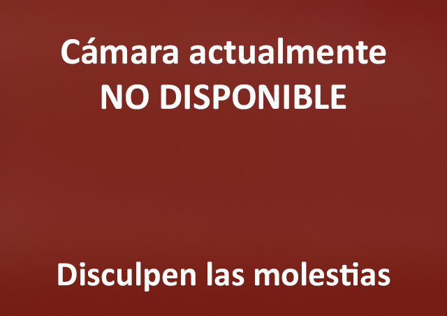 Cámara Webcam SE-00  Calle Arjona Plaza de Armas